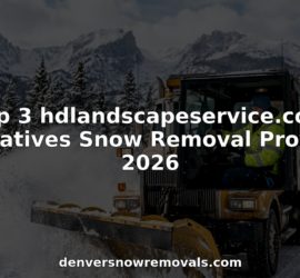 Snowplow truck clearing snowy Denver street