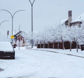 Snow-covered residential street with parked cars, snow-laden trees, and houses along the curb under a pale winter sky, including a yellow pedestrian crossing sign nearby.