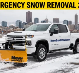 deicing stairs safety - DenverSnowRemovals.com emergency snow removal 24/7 Meyer plow downtown Denver