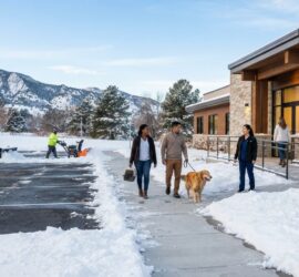 Denver Veterinary Clinic Snow Removal Buyer's Guide