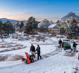 Snow Removal for Botanical Gardens: Denver Planning Guide